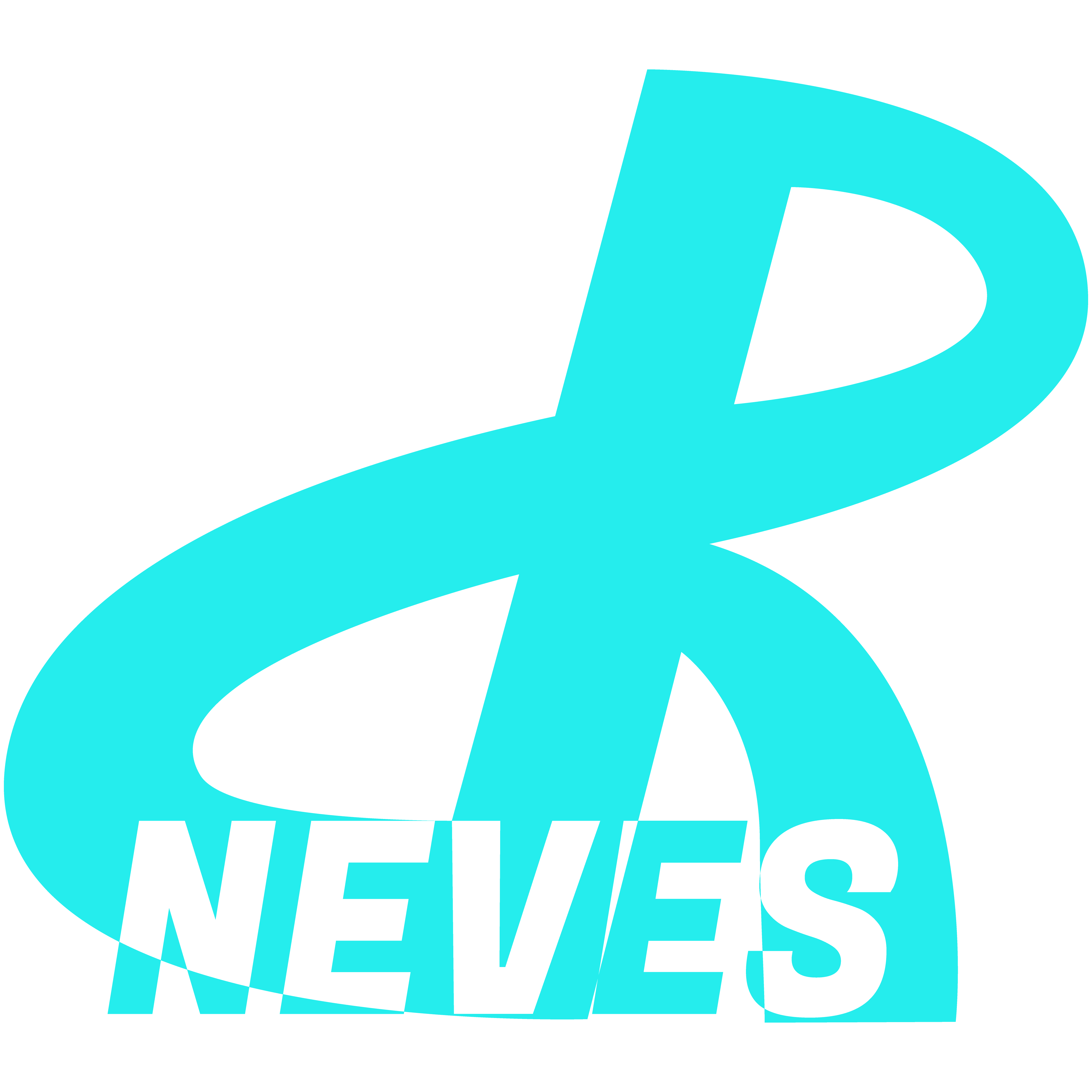 L. R. Neves - Online Entrepreneurship, Remote Work, Personal Development and Masculinity